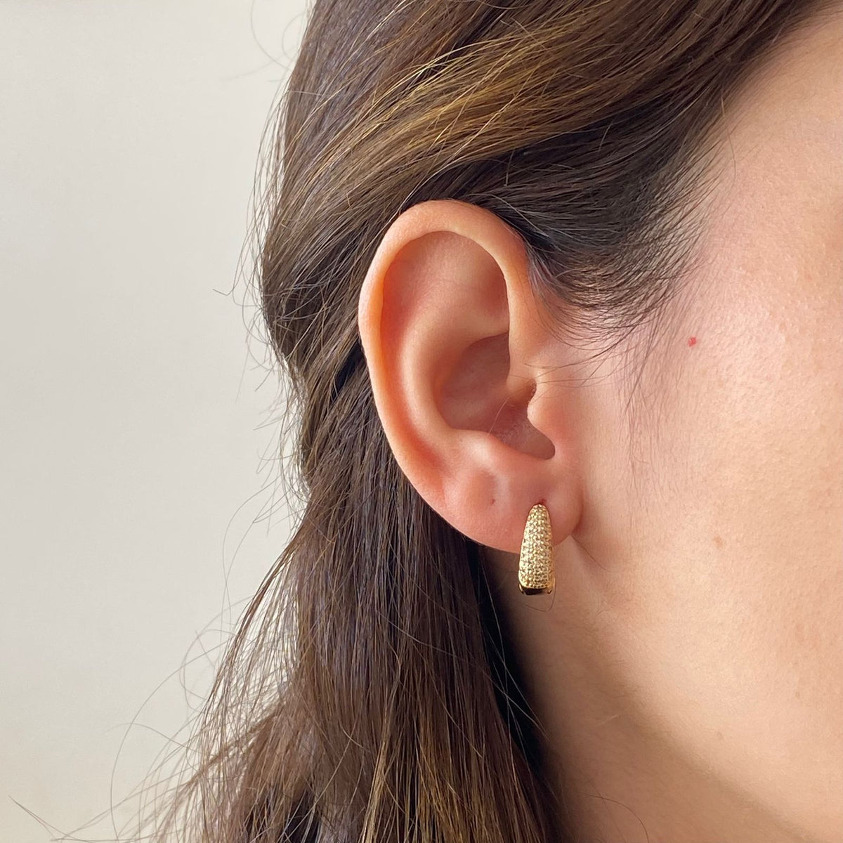 Brinco Argola Cravejada