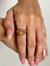 Anel Nossa Senhora Aparecida