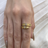 Anel Regulável Cobra