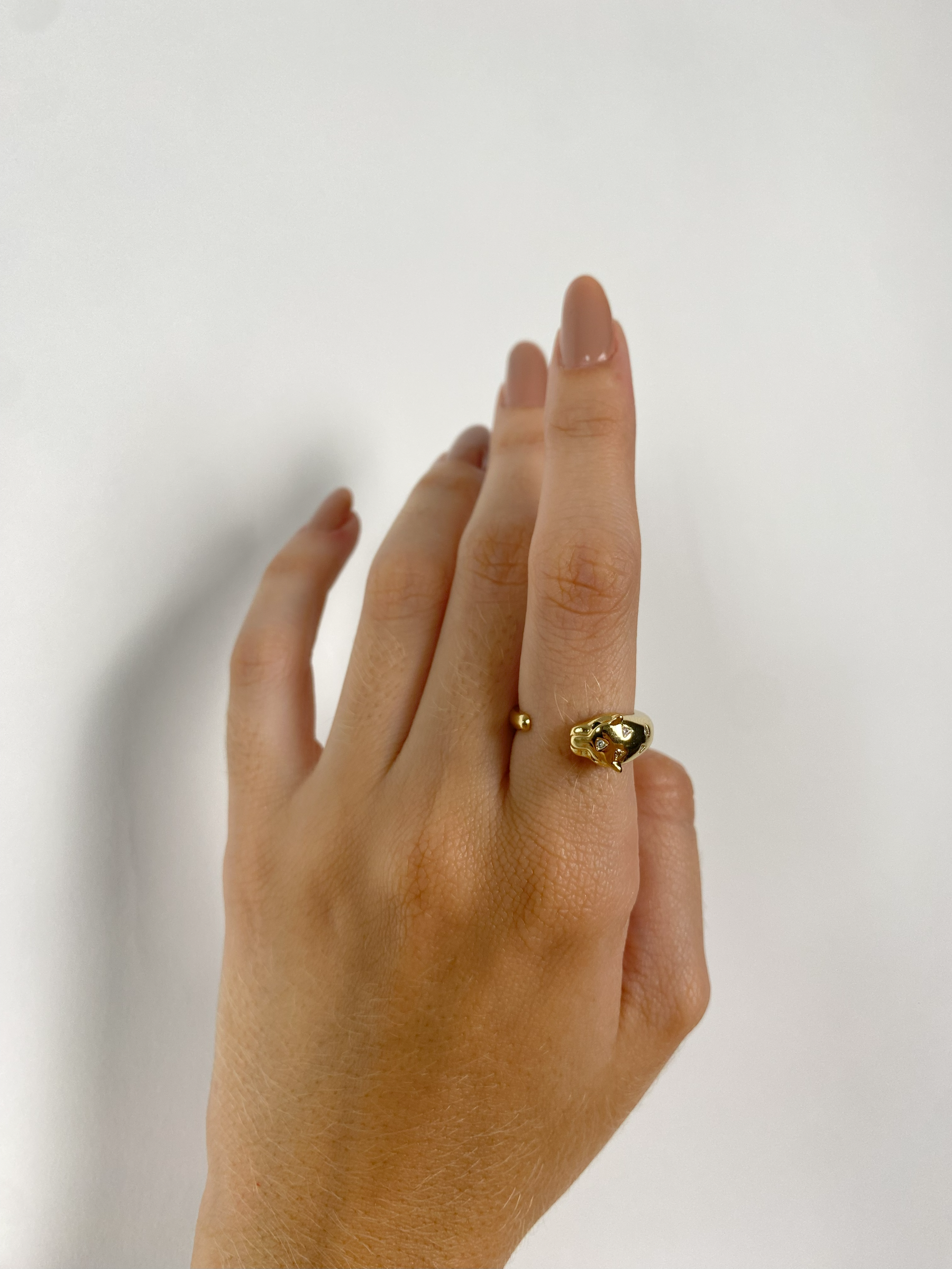 Anel Regulável Tigre