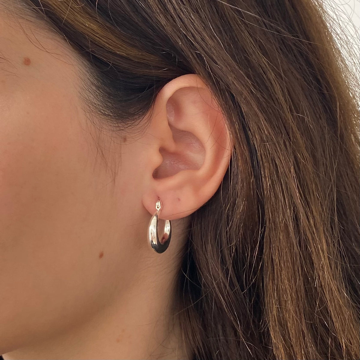 Brinco Argola Fechada