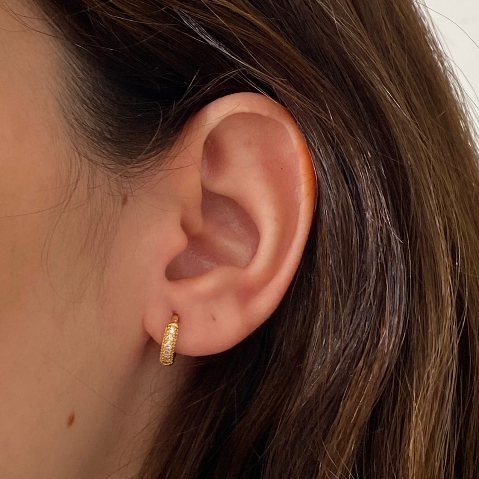 Brinco Argola Cravejada