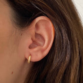 Brinco Argola Cravejada